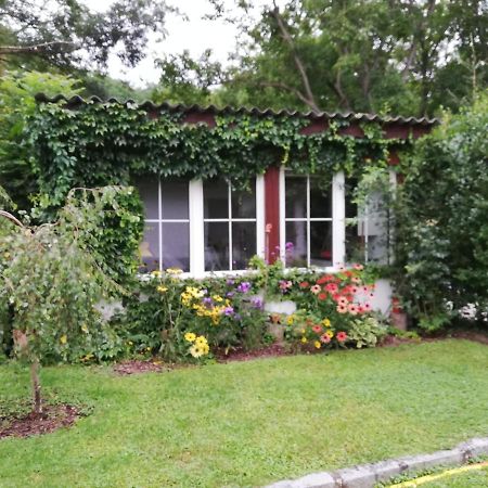 Ferienhaeuschen Gruber Loosdorf Exterior foto